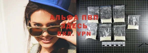 индика Беломорск